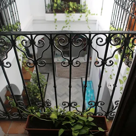 Wake Up In & Restaurant Lounge Tarifa