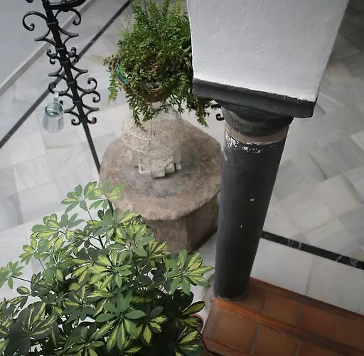 Wake Up In & Restaurant Lounge Hostal *